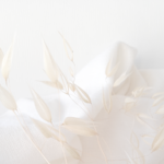 wispy grass on white background - true freedom - Marva Smith